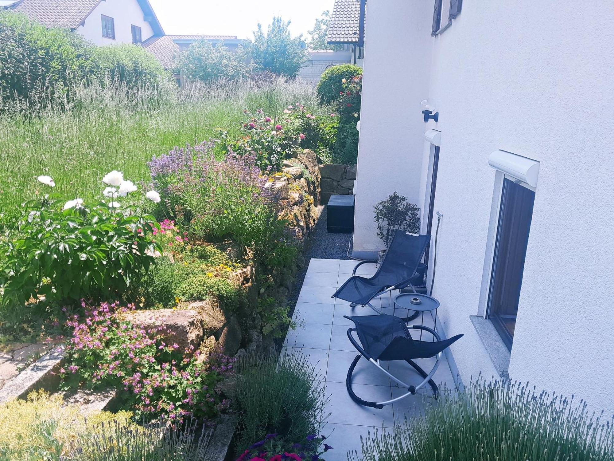 Ferienwohnung Bluetenzauber In Idyllischer Lage Naehe Bodensee Hilzingen Extérieur photo
